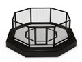 Octagon cage front view Royalty Free Stock Photo