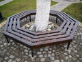 An octagonal bench surrounding a tree trunk Royalty Free Stock Photo