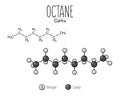 Octane Skeletal Structure and Flat Model Representation