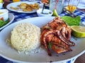 Octapus with rice at greek tavern