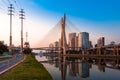 Estaiada Bridge in Sao Paulo City