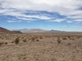 Octillo Wells Desert in California