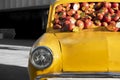 Apple car installation...Old yellow retro car with artificial apples inside. Closeup of yellow classic vintage car