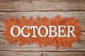 October alphabet letter with maple leaves frame on wooden background