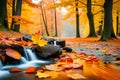 October autumn fall nature landscape scene with maple leaves and trees and flowing water Royalty Free Stock Photo