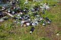 October 15, 2020 Balti Moldova is a huge dump of empty alcohol bottles in nature. Discarded trash after a picnic