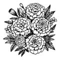 , marigold flower bouquet drawings, free marigold printable coloring pages, marigold drawing color