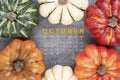 The October 2023 Calendar and pumpkins with autuma leaf on old wood background Royalty Free Stock Photo