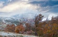 October Carpathian mountain Borghava plateau with first winter snow and autumn foliage Royalty Free Stock Photo