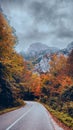 October colors of the leaves on the tree and a big mountain in the background. Royalty Free Stock Photo