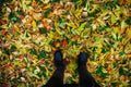 October day season background concept wallpaper of bright colorful falling leaves and casual fashion human legs in shoes Royalty Free Stock Photo