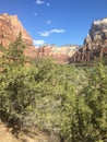 October at Emerald Pools Trail at Zion National Park, Utah. Royalty Free Stock Photo