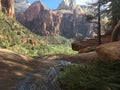 October at Emerald Pools Trail at Zion National Park, Utah. Royalty Free Stock Photo