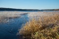 The october frost on the lake Kucane. The Estate Petrovskoe. Russia Royalty Free Stock Photo