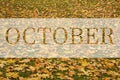 October, greeting text on colorful fall leaves background. Word October with colorful leaves. Creative nature concept. Minimal Royalty Free Stock Photo