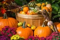 An October Halloween scene showing pumpkins and gourds