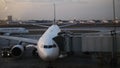 12 october 2016 - Istanbul, Tirkey, Ataturk - The plane is near the terminal in the international airport at dusk