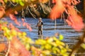 October,2014 Jackson County,NC Flyfishing on the Tuckasegee River Royalty Free Stock Photo