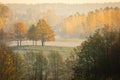 October landscape - amazing misty foggy morning in autumn season, beautiful trees with colorful leaves Royalty Free Stock Photo