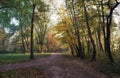 October morning in the park, slightly foggy start of a sunny day Royalty Free Stock Photo