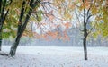 October mountain beech forest with first winter snow. Royalty Free Stock Photo