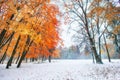 October mountain beech forest with first winter snow. Sunlight b Royalty Free Stock Photo