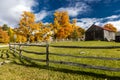 October 17, 2017 New England farm with Autumn Sugar Maples - Vermont