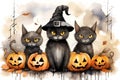 October party halloween holiday pumpkin spooky autumn animal black witch cat
