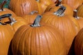 October Pumpkins patch