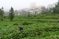 Asian man working on his farm agriculture field in rain weather