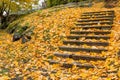 October stairs
