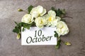 October 10th. Day 10 of month, Calendar date. White roses border on pastel grey background with calendar date. Autumn month, day