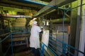 14 october 2014.Ukraine.Kyiv. The woman of average years in a white dressing gown works on a conveyor at factory of times of the