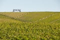 9 October 2019 - UNESCO World Heritage, the Douro Valley beautiful endless lines of `Pocas` Vineyards, in Vila Nova de Foz Coa. Royalty Free Stock Photo