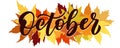 October, vector script with decorative maple leaves elements. Hand drawn brush lettering for autumn events, posters, and