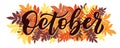 October, vector script with decorative rowan leaves elements. Hand drawn brush lettering for autumn events, posters, and