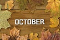 October word, letters with autumn dried leaves, over wooden background