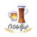 Octoberfest hand drawn watercolor lettering, festival symbols. Full glass and mug of beer with foam, barley on white background. Royalty Free Stock Photo