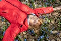 An octogenarian grandmother in a red jacket rejoices in spring, lying on the ground covered with blooming scylla flowers