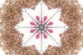 Octogonal dried floral design pattern on white