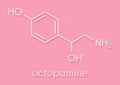 Octopamine stimulant drug molecule sympathomimetic agent. Skeletal formula.