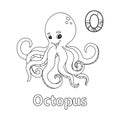 Octopus Alphabet ABC Coloring Page O
