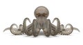 Octopus with arms extended, displaying distinct suction cups and smooth, shiny Royalty Free Stock Photo