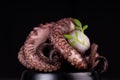 Octopus on a black background with greens. Fish food. Seafood. Delicious sea food Royalty Free Stock Photo