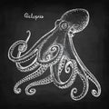 Octopus chalk sketch