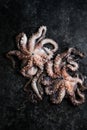 Octopus. Creative concept of healthy food with photos of delicious seafood from octopus