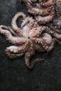 Octopus. Creative concept of healthy food with photos of delicious seafood from octopus