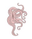 Octopus creature illustration