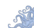 Octopus creature illustration