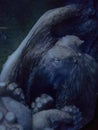 Octopus in dark water Royalty Free Stock Photo